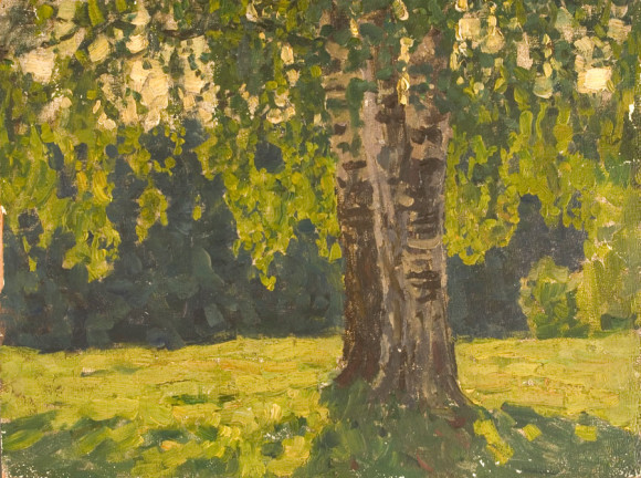 Old Birch - Nikita Fedosov Russian painting for sale